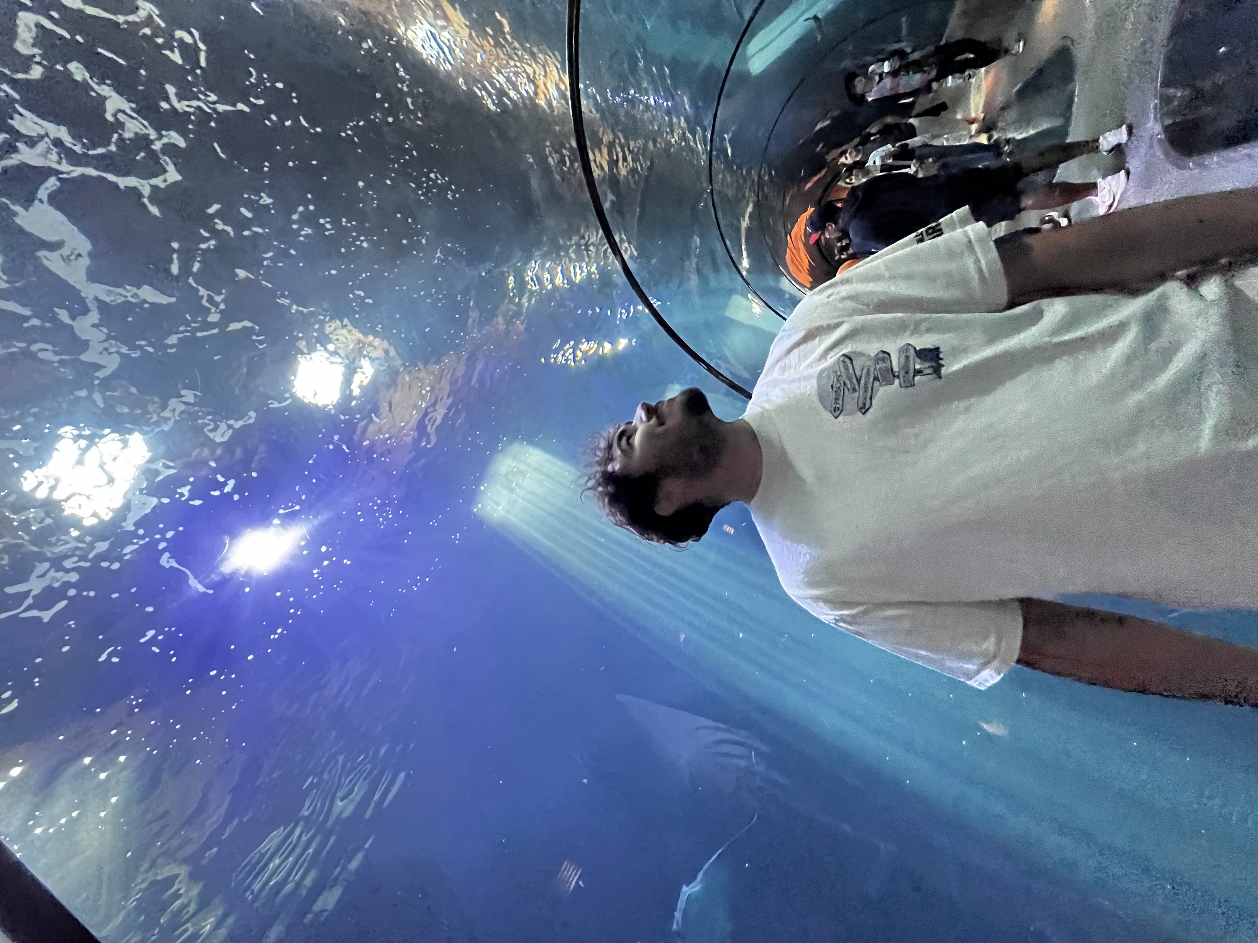 Picture of myself at an aquariam